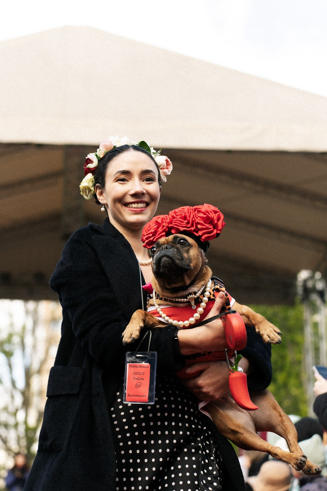 Парад Бульдогов. Axenov_eugene