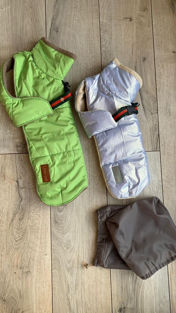 Одежда. Профессиональный питомник левреток РКФ/FCI ASTI SAPPHIRE 💎 Сочи|Санкт-Петербург