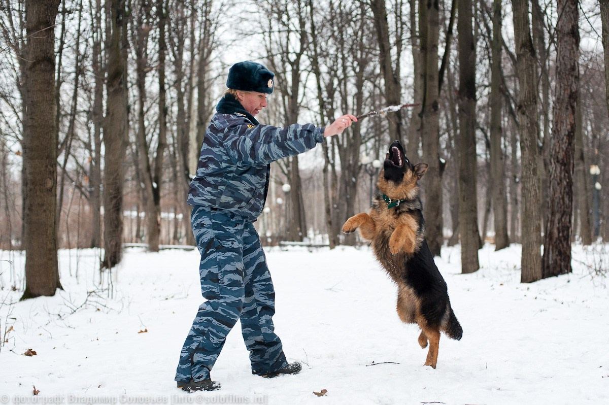 Репортаж. Solofilms