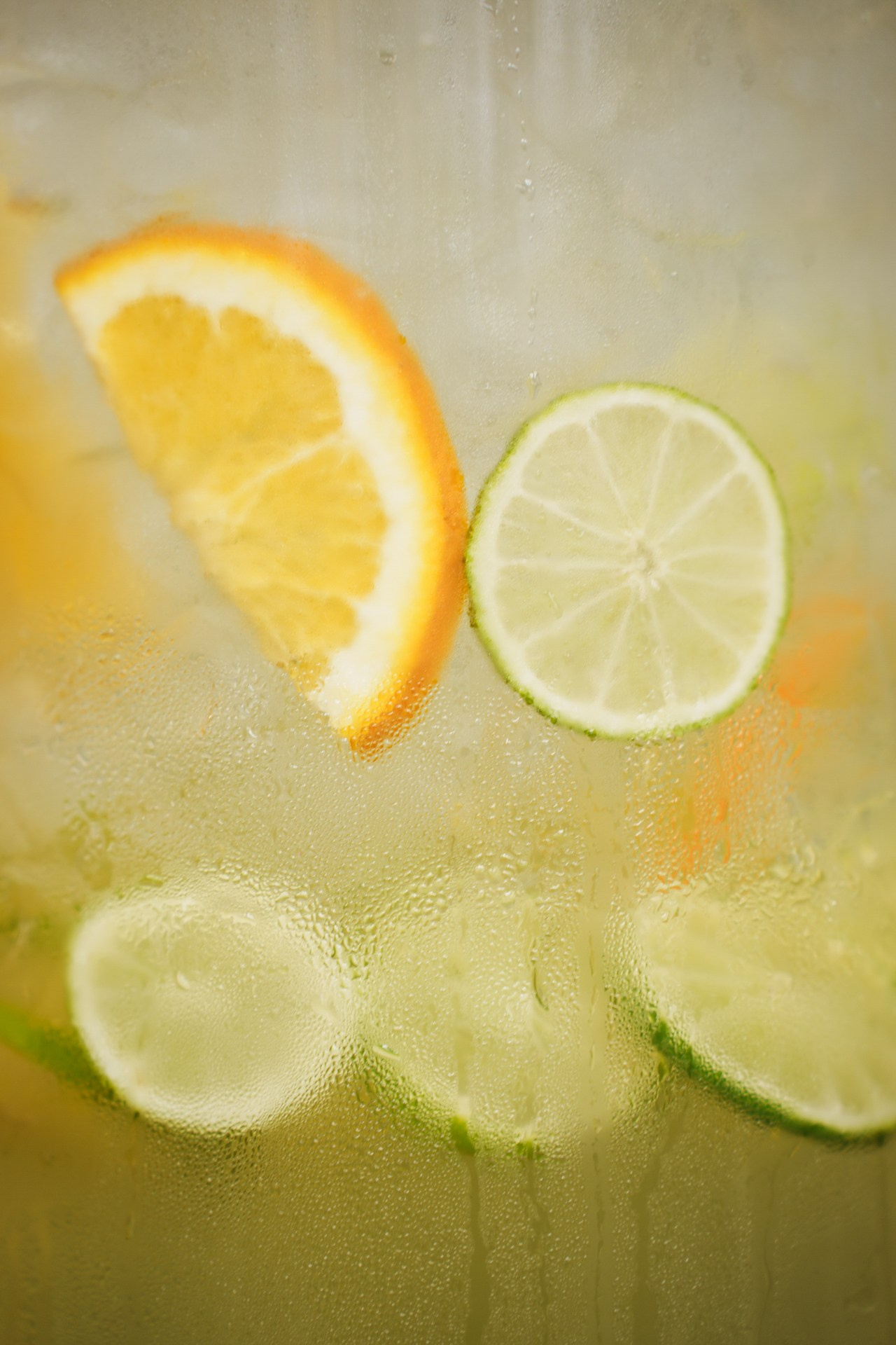 Wine Club Show. Night2Day Санкт-Петербург