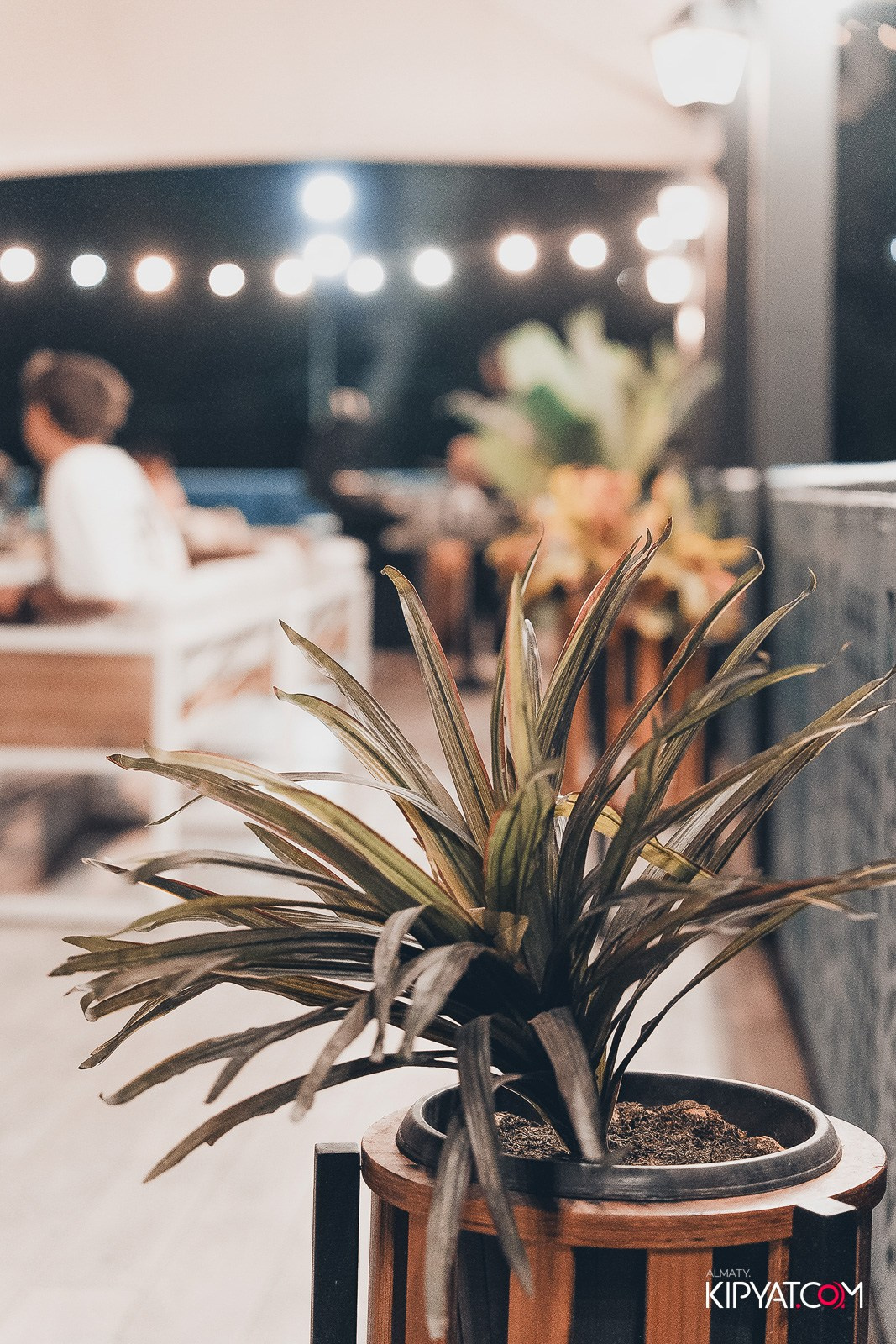 РЕСТОРАН ЛАРИСС ИВАННУ ХАЧУ. КИПЯТКОМ АЛМАТЫ!