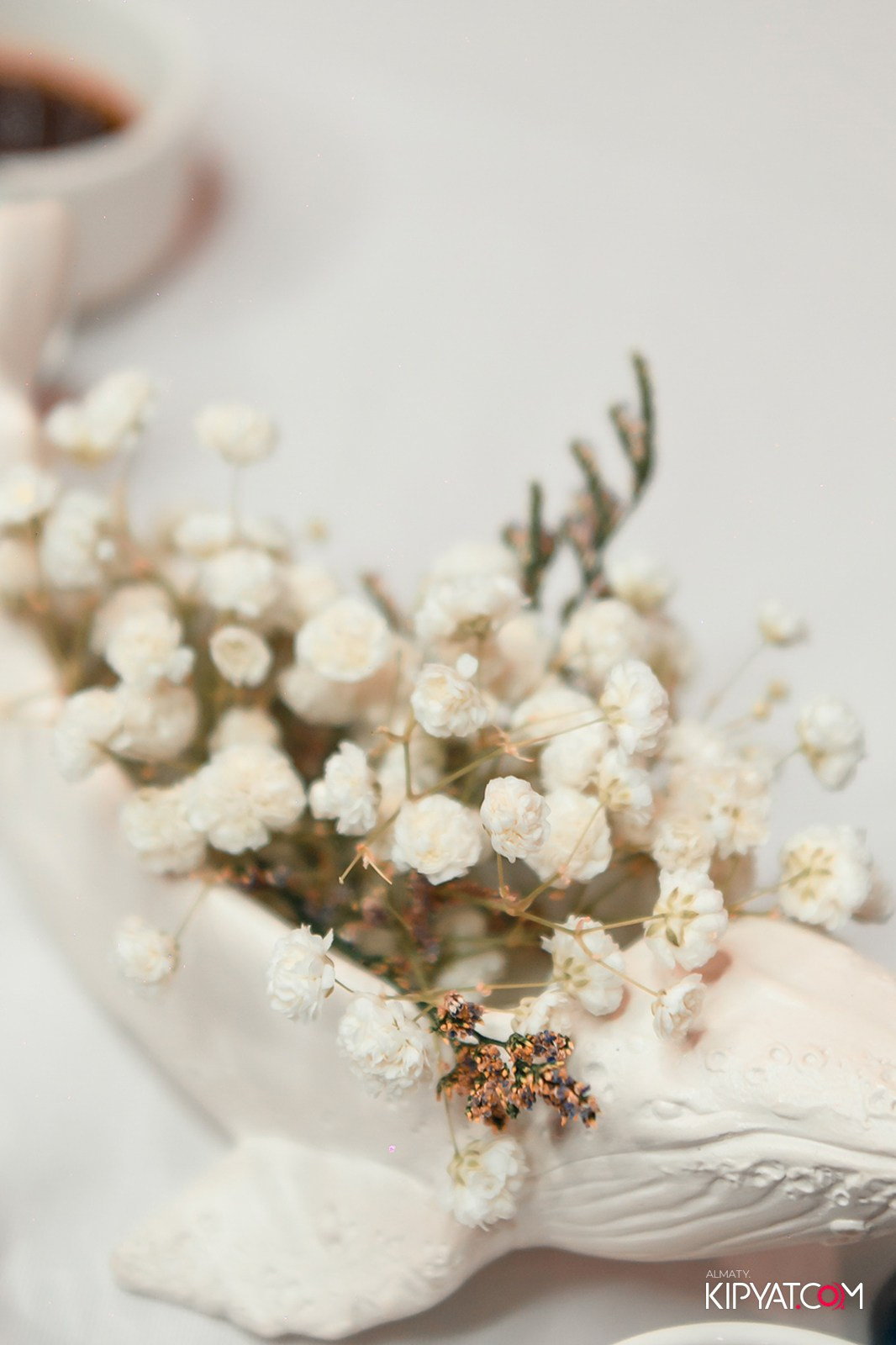 DARIYA'S BIRTHDAY PARTY. КИПЯТКОМ АЛМАТЫ!