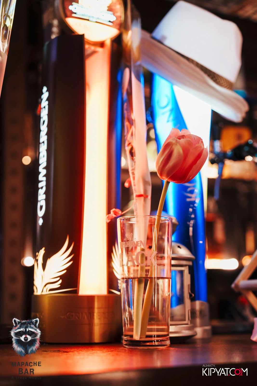 MAPACHE BAR. КИПЯТКОМ АЛМАТЫ! Фотосъемка мероприятий в Алматы