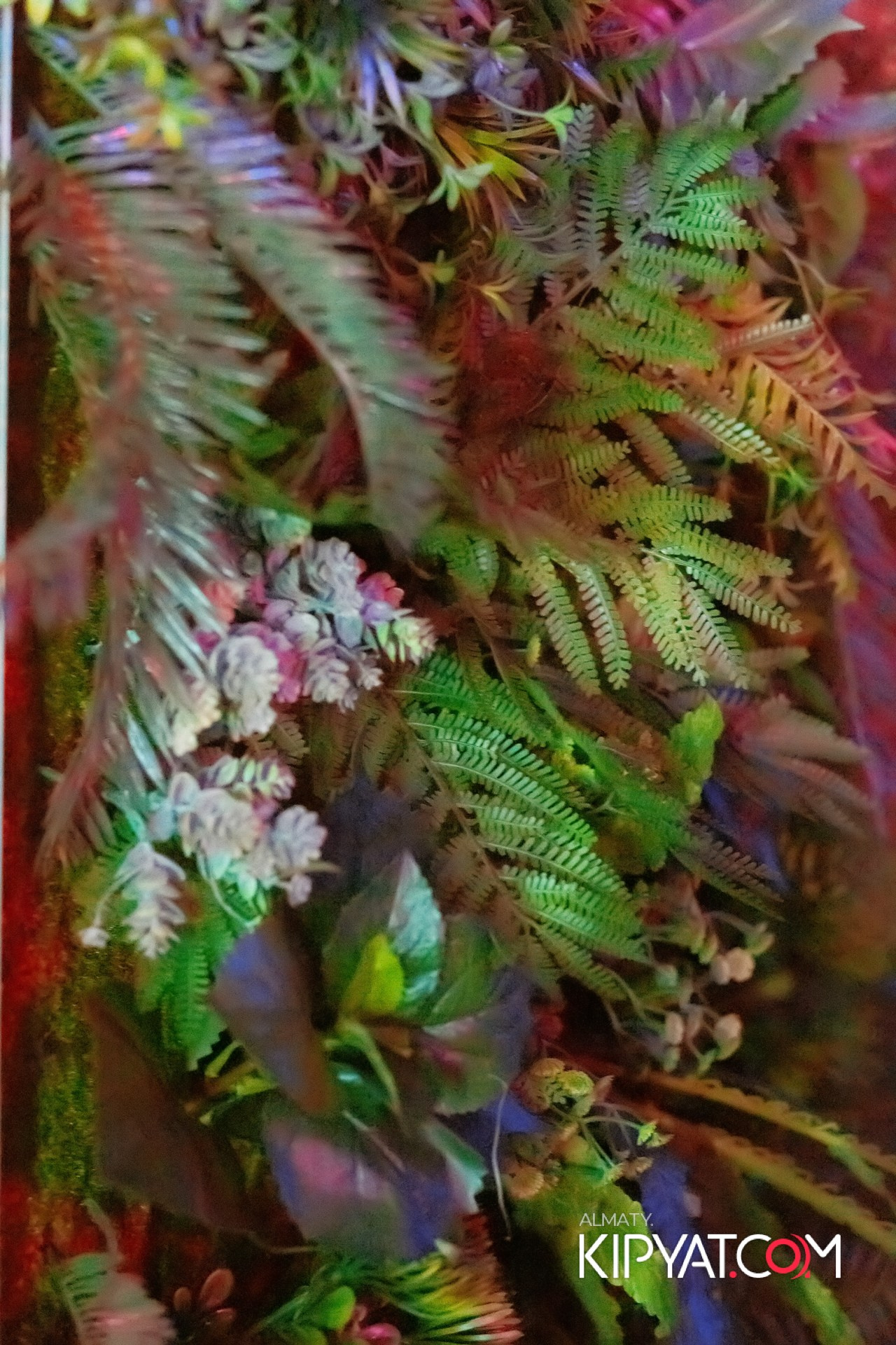 Ухо и Медведь на Саина. КИПЯТКОМ АЛМАТЫ!