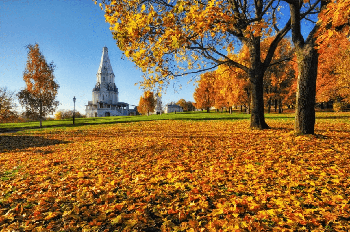 Лучшие места для осенней фотосессии в Москве: идеи и образы для идеаль. Профессиональный фотограф в Москве. Елена Шуваева