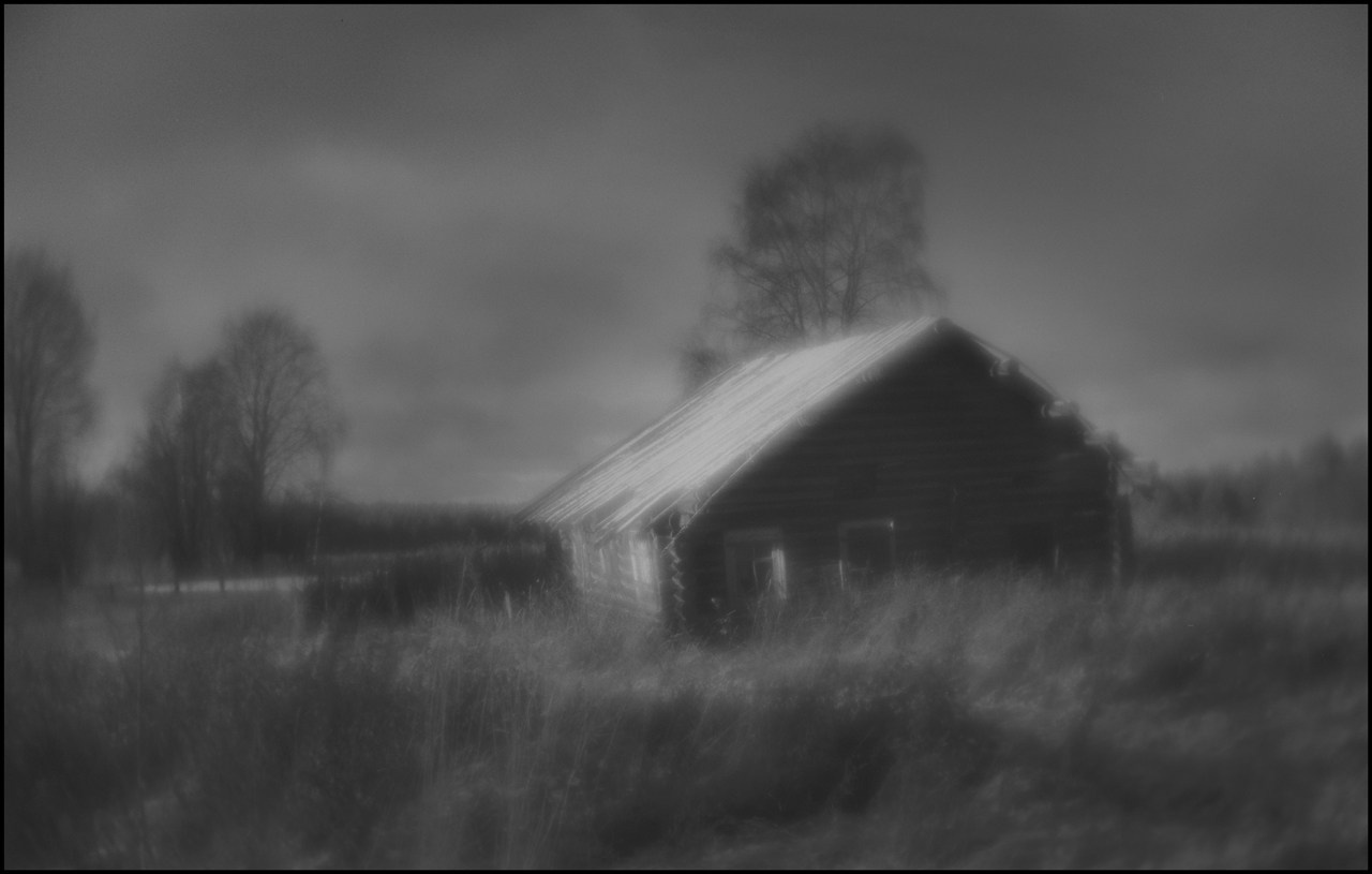 «Первый снег» д. Филипповская, село Почозеро, Плесецкий район, Архангельская область. 2024 г.