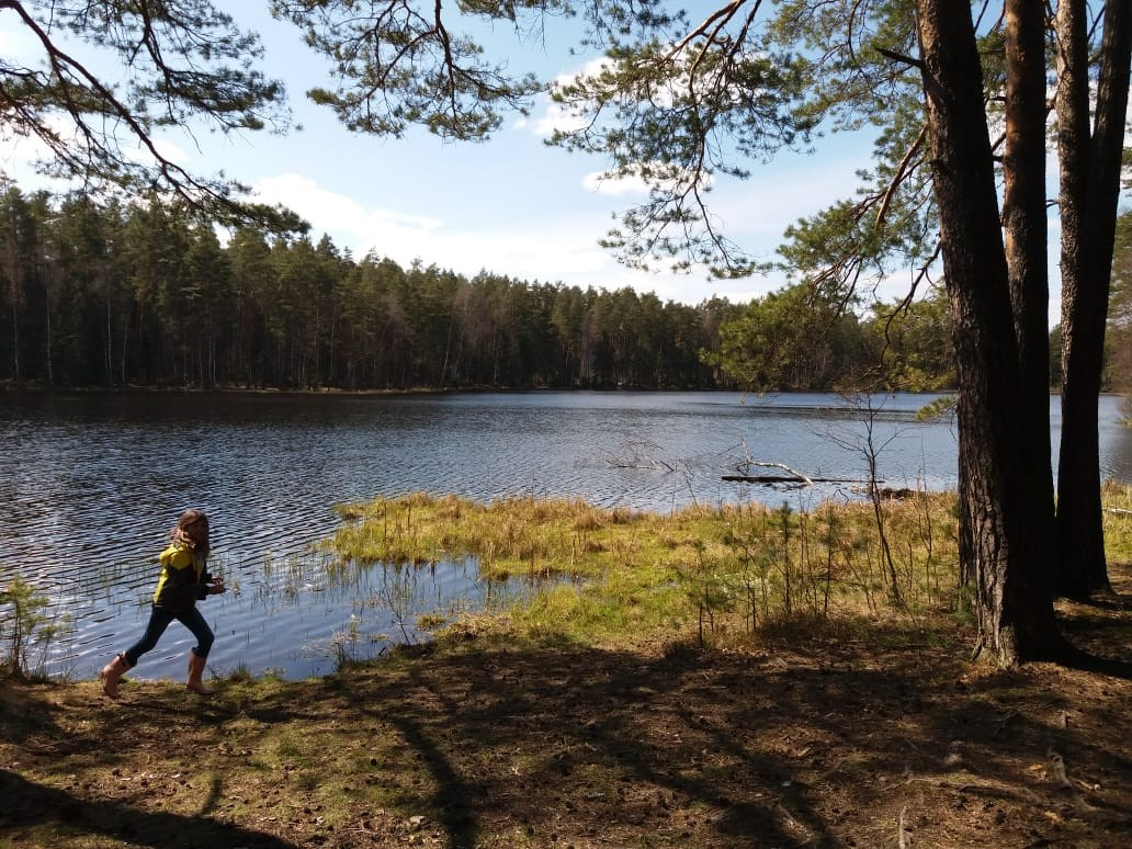 Канал им. Москвы — 20. Своя Мастерская