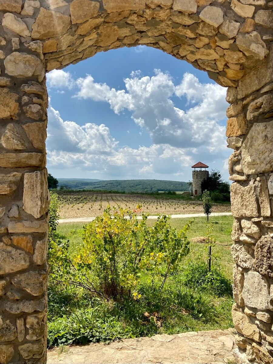 Шато-Андре. Семейный фотограф в Анапе Светлана Тернопол