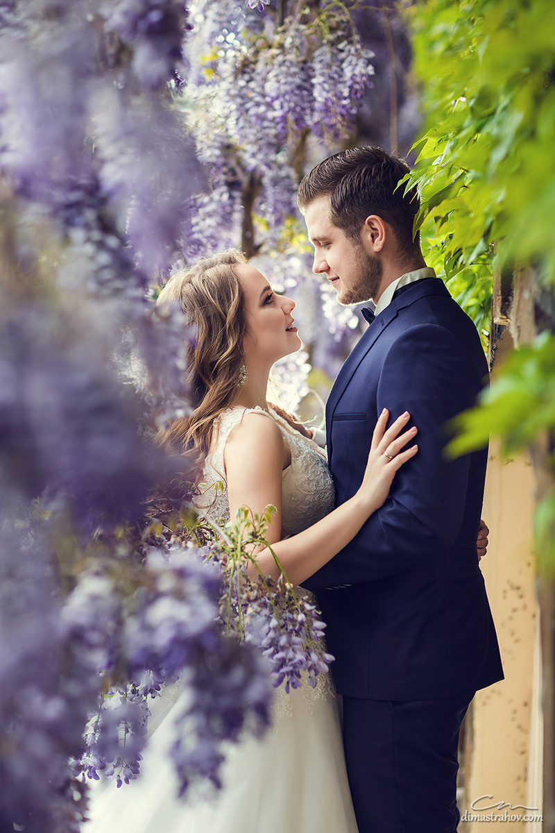 Свадебная фотосессия Ромы и Даши в глицинии. Свадебный фотограф, фотосъемка в Крыму, Севастополе, Симферополе, Ялте