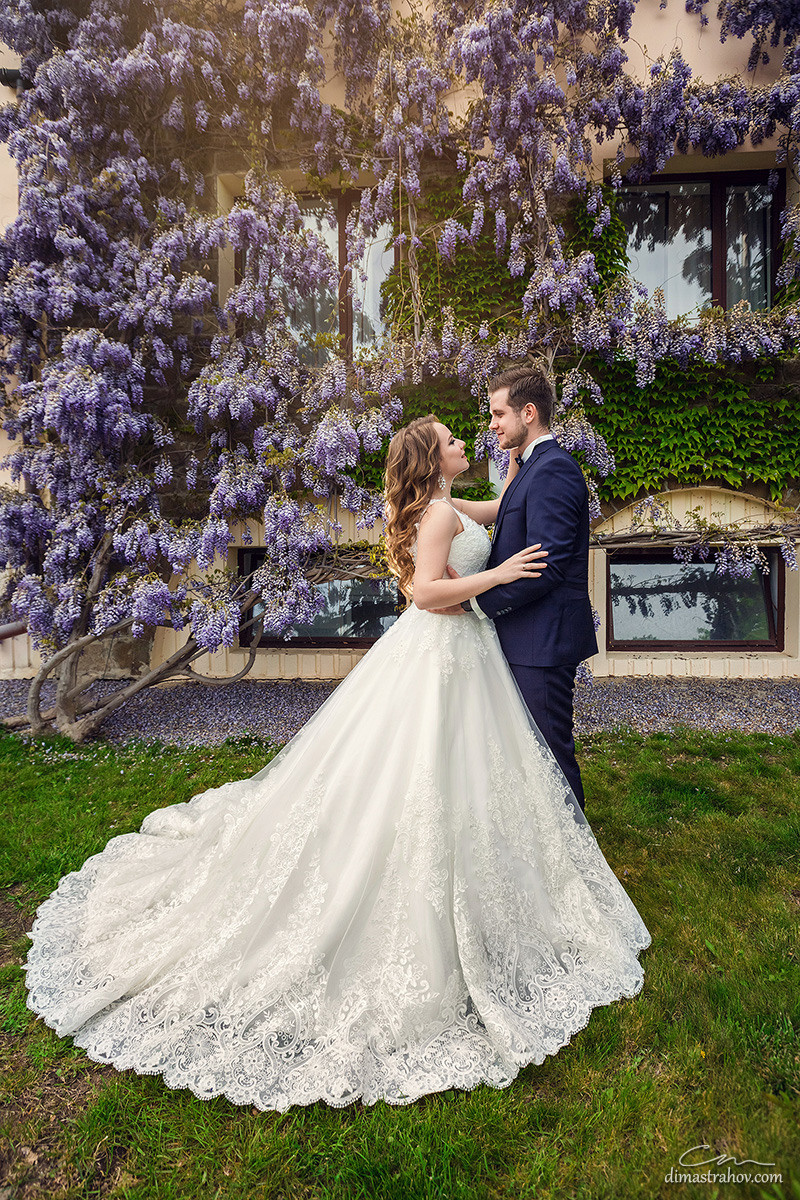 Свадебная фотосессия Ромы и Даши в глицинии. Свадебный фотограф, фотосъемка в Крыму, Севастополе, Симферополе, Ялте