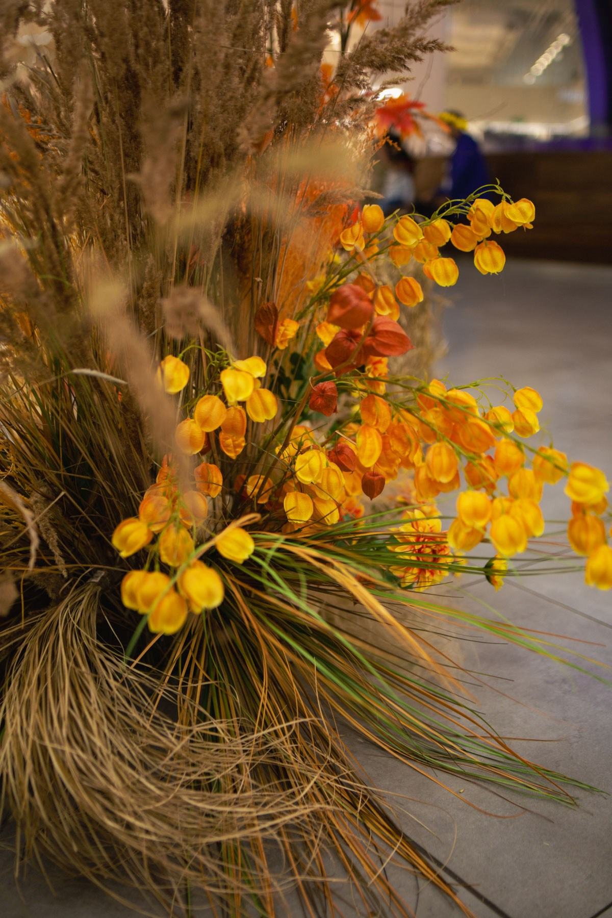 Осеннее чаепитие в ТЦ Хорошо!. Репортажный и концертный фотограф в Москве Анастасия Осень