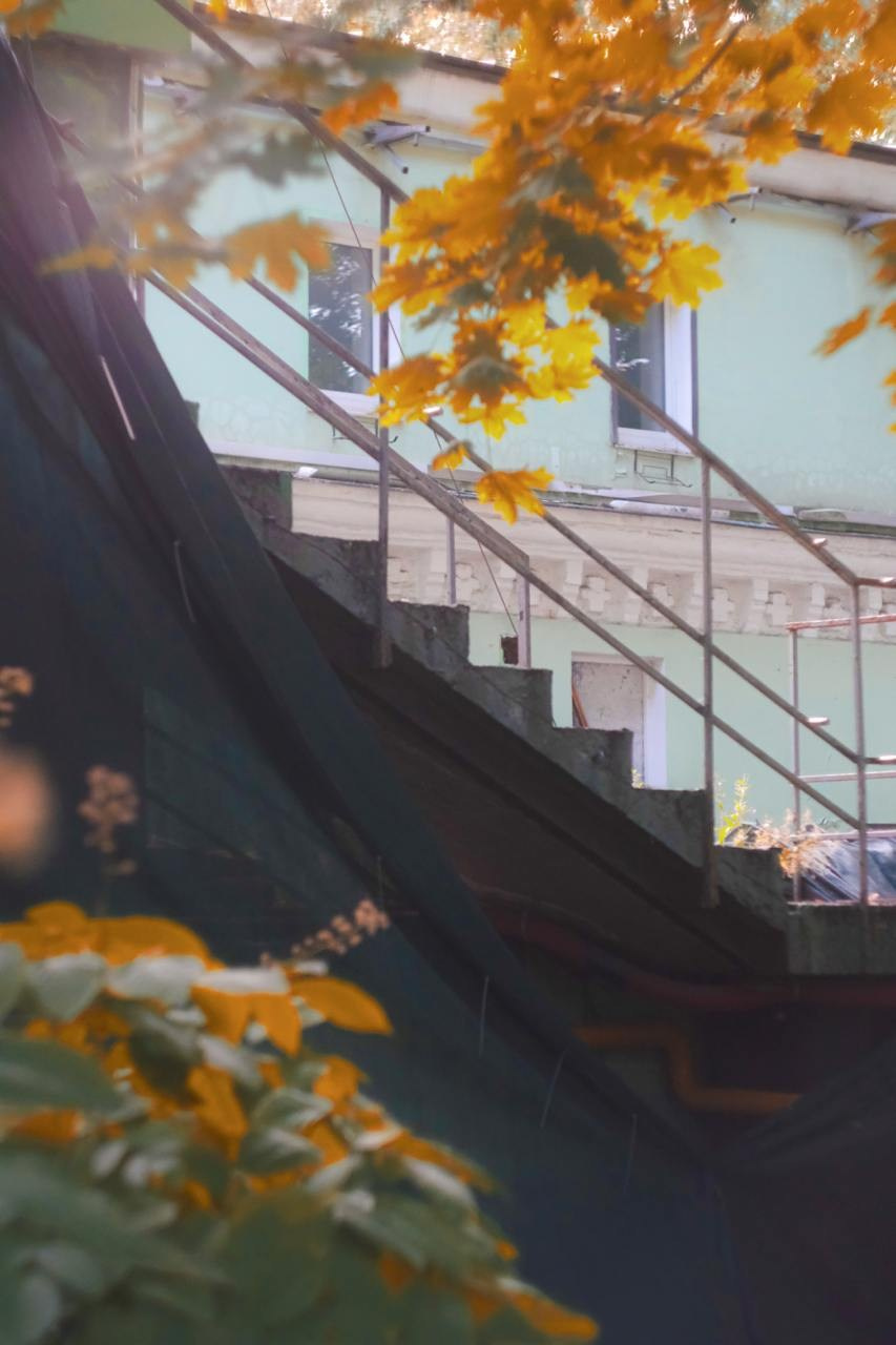 Аптекарский огород. Софа Катастрофа, Одичание. фотохудожница, креативный продюсер, автор. Nude, eros, портретный фотограф