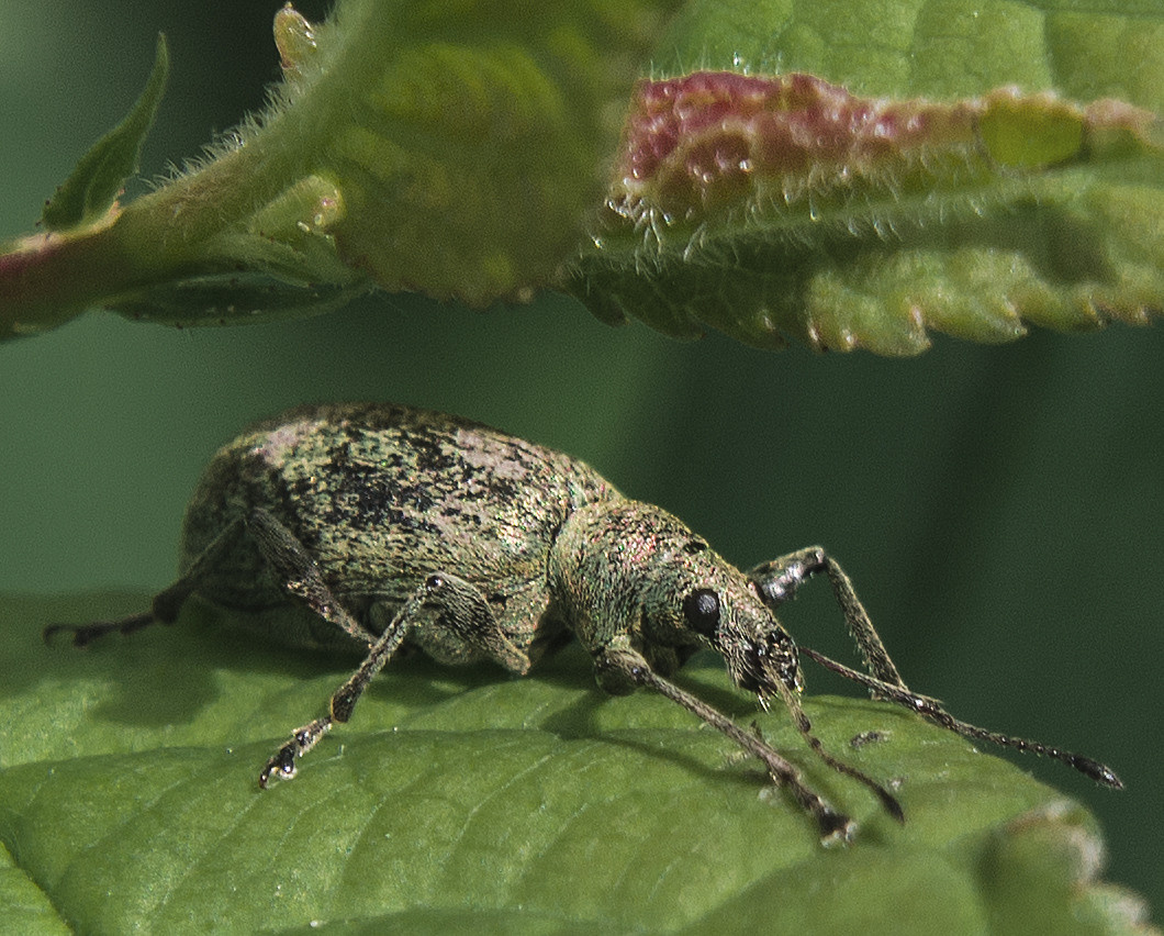 Макро. Обо всём