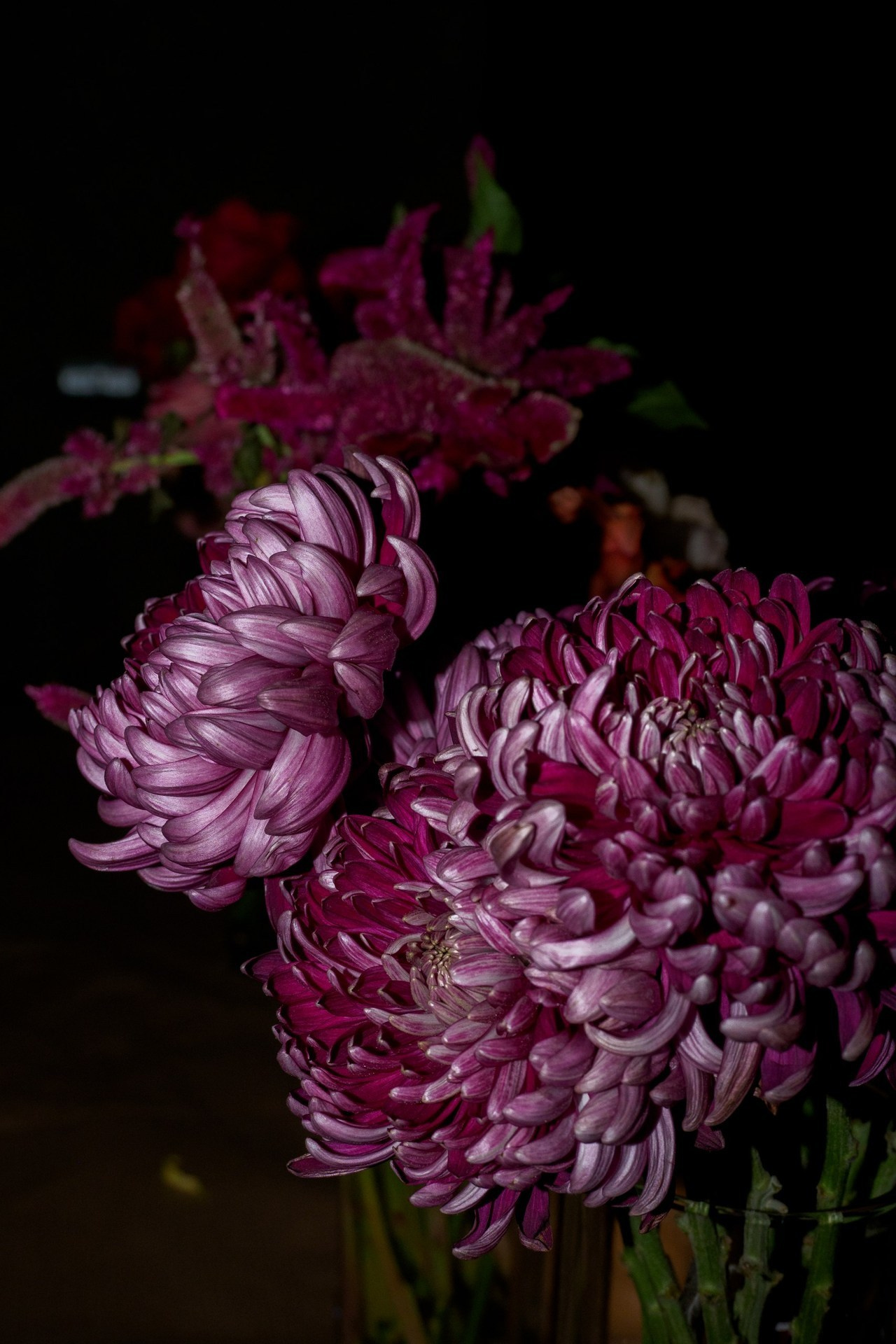 Отзывы. Свадебный и семейный фотограф в Ростове-на-Дону Кирилл Дементьев