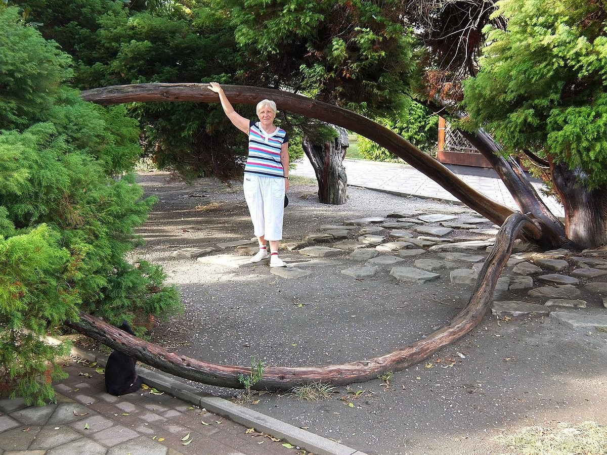 КРАСИВЫЕ МЕСТА В СОЧИ. Свадебный и семейный фотограф/видеограф в Краснодаре Наталья Осинская