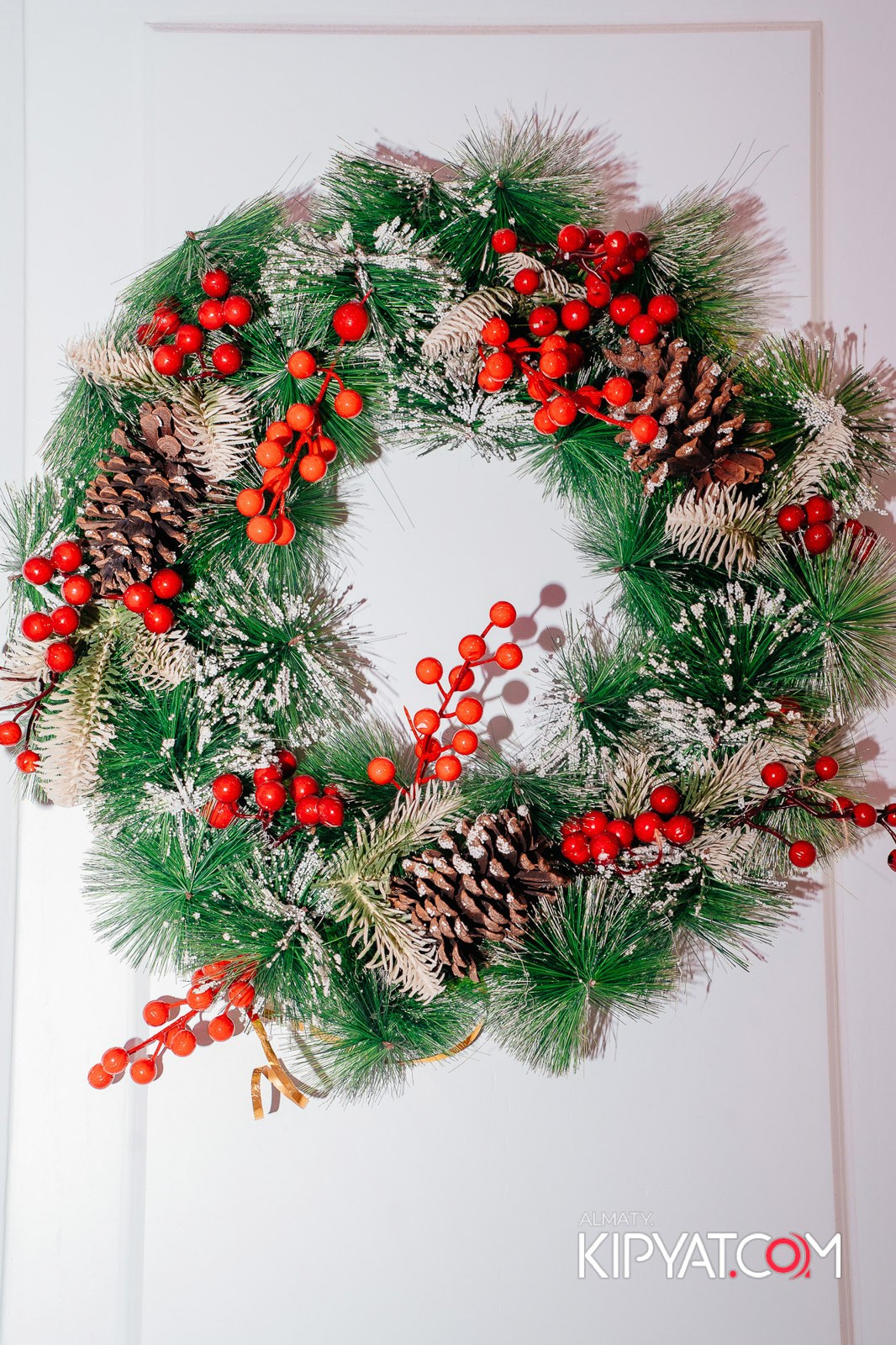 УХО И МЕДВЕДЬ НА КУРМАНГАЗЫ. КИПЯТКОМ АЛМАТЫ!