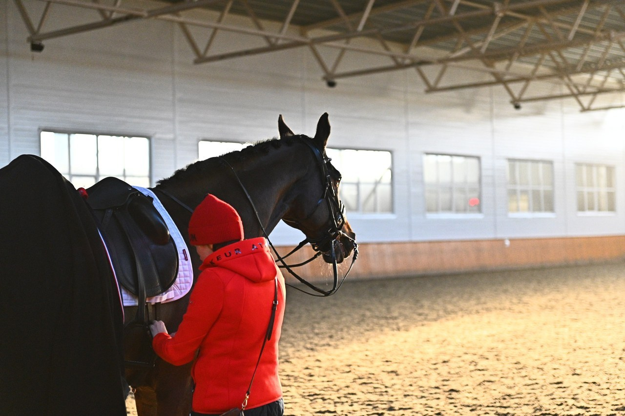 Отзывы. ТУРНИРНАЯ КОННАЯ ФОТОГРАФИЯ, Руднева Ольга и Евгений Адеев