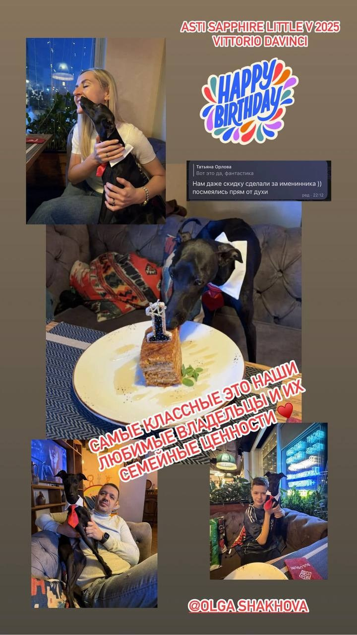 Празднуем дни Рождения. Профессиональный питомник левреток РКФ/FCI ASTI SAPPHIRE 💎 Сочи|Санкт-Петербург