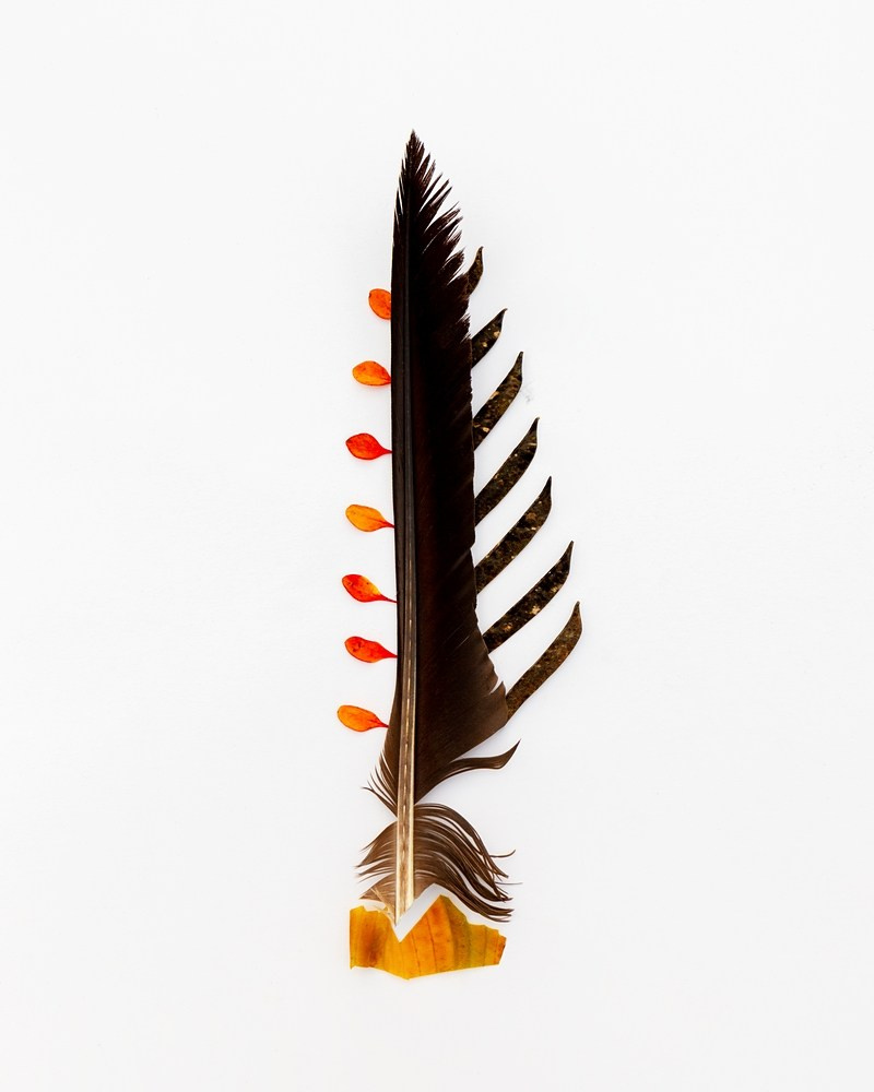 Острые предметы. Фотографии Саши Любина