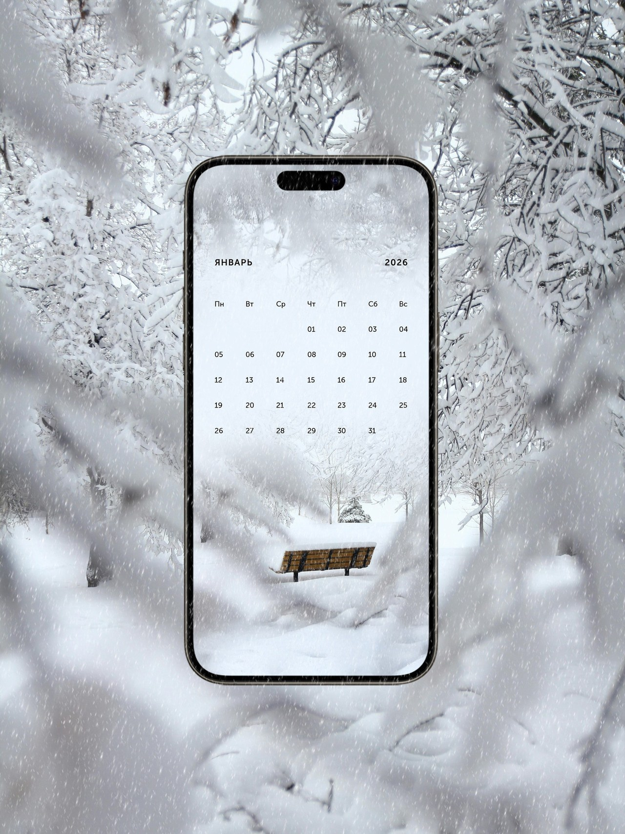 Отзывы профессиональных фотографов о диске Wfolio