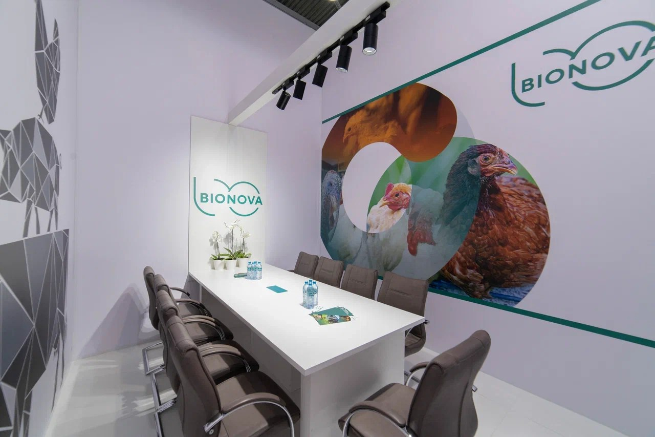 Выставочные стенды. Профессиональный портретный фотограф в Москве Владимир Глаголев