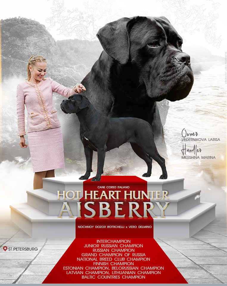 Презентация суки кане-корсо