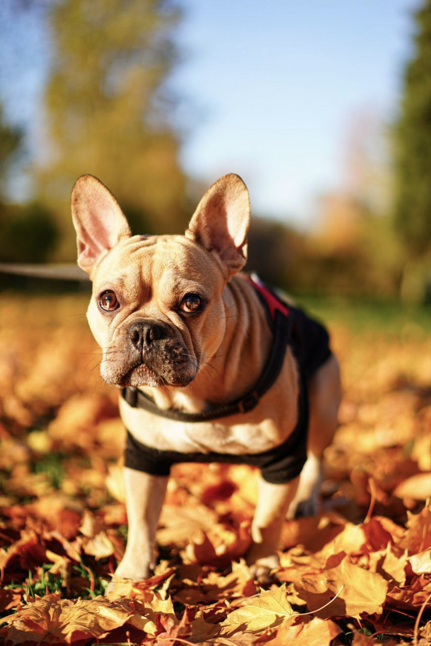 Другая съемка. Репортажный и портретный фотограф / видеограф (СПБ)
