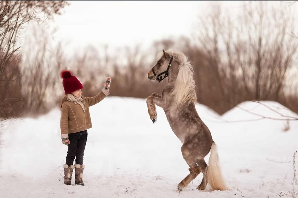 Детская фотосессия с лошадью. Фотосессии с лошадьми в Москве от Конный фотографа Кутейниковой Светланы