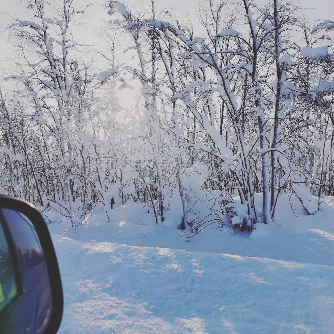 Bashnin instagramm. Заставка