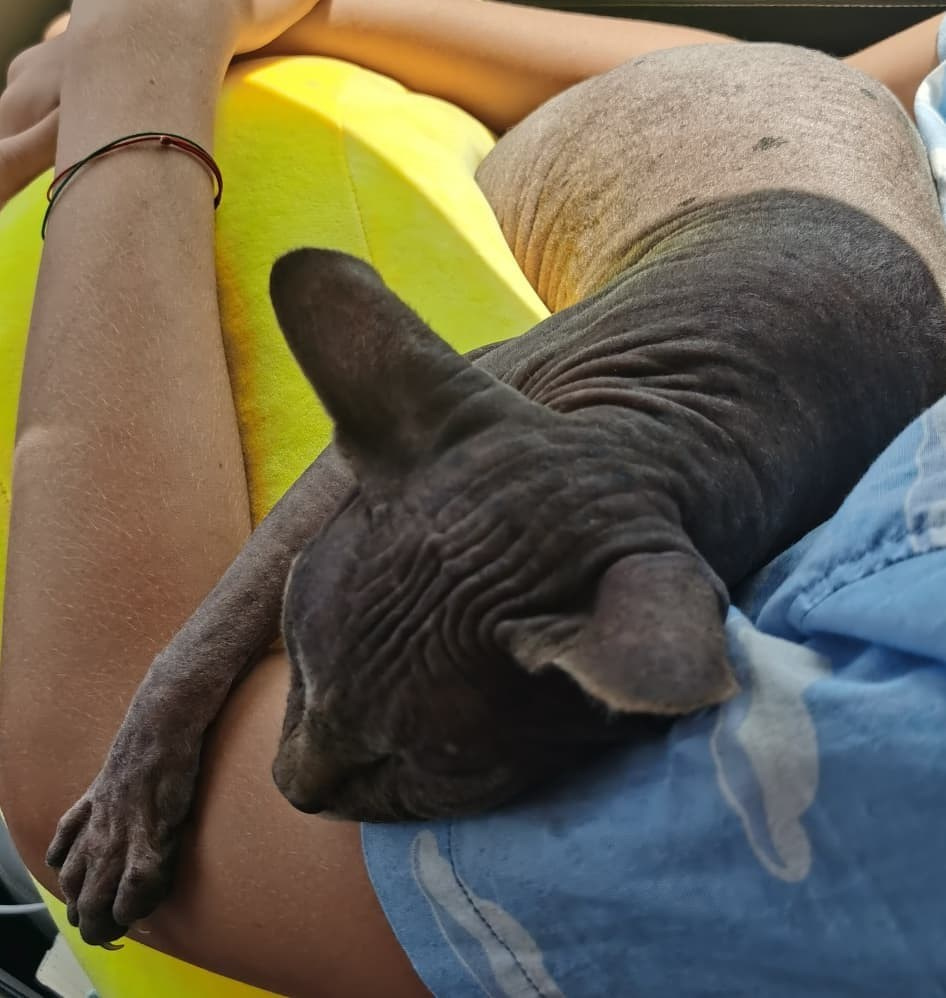 Anka`s Instagram. Заставка