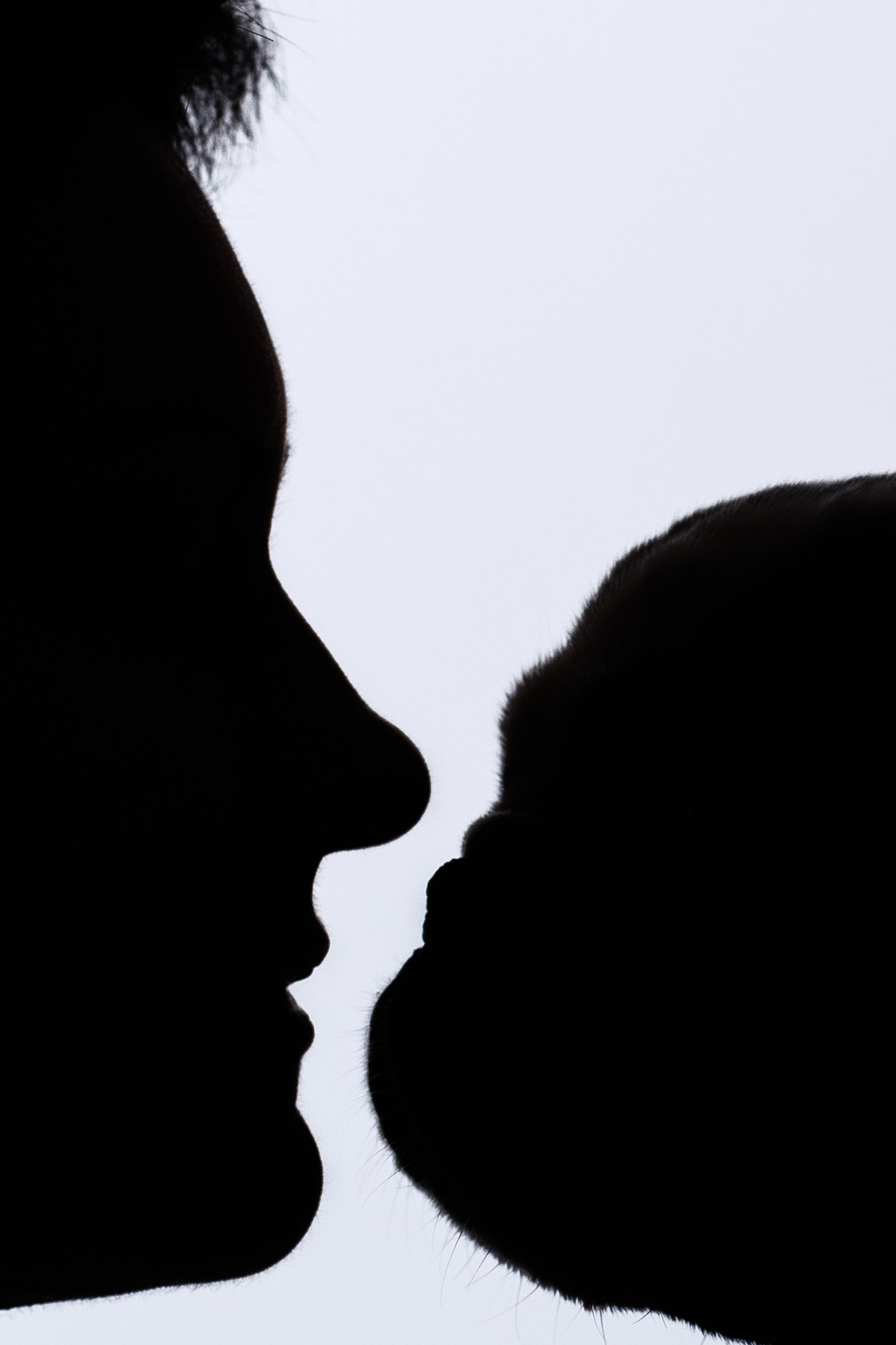 Бульвстреча 2025. Фотограф-анималист Татьяна Степанова