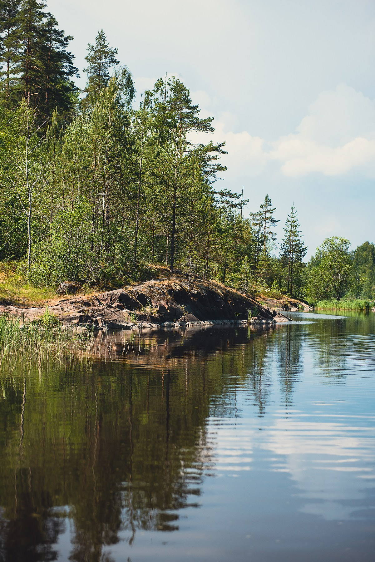 Карелия. Фотограф-анималист Наталья Светличная