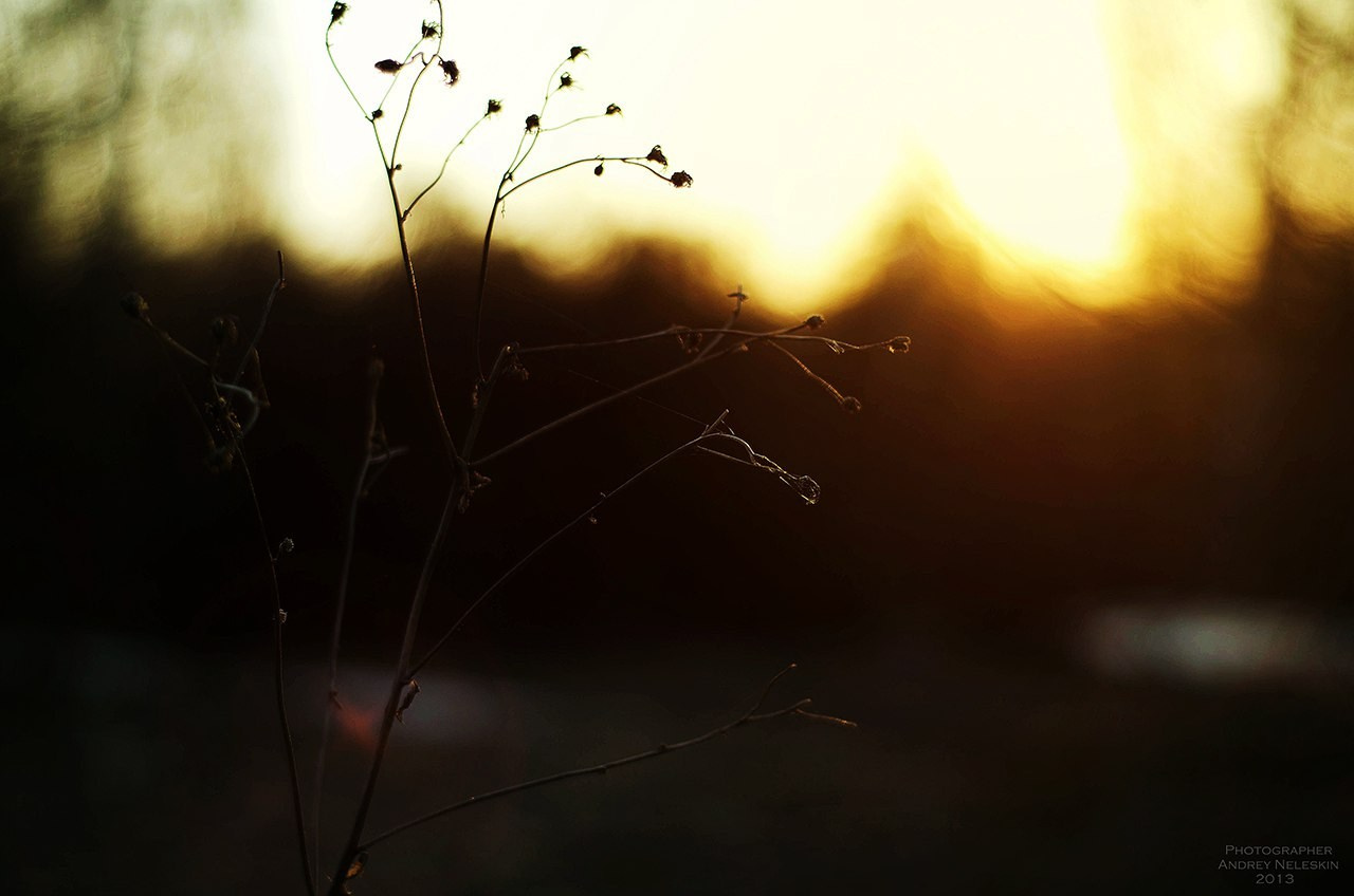 Пейзажи. Свадебный и портретный фотограф в Новом Уренгое Андрей Нелескин
