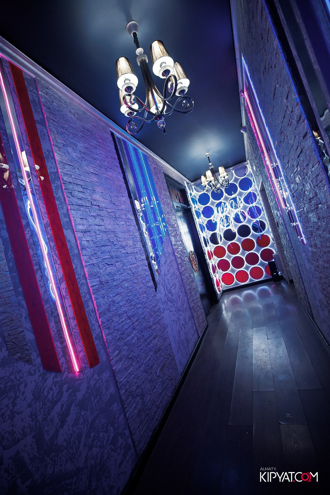 УХО И МЕДВЕДЬ НА ГАГАРИНА. КИПЯТКОМ АЛМАТЫ! Фотосъемка мероприятий в Алматы