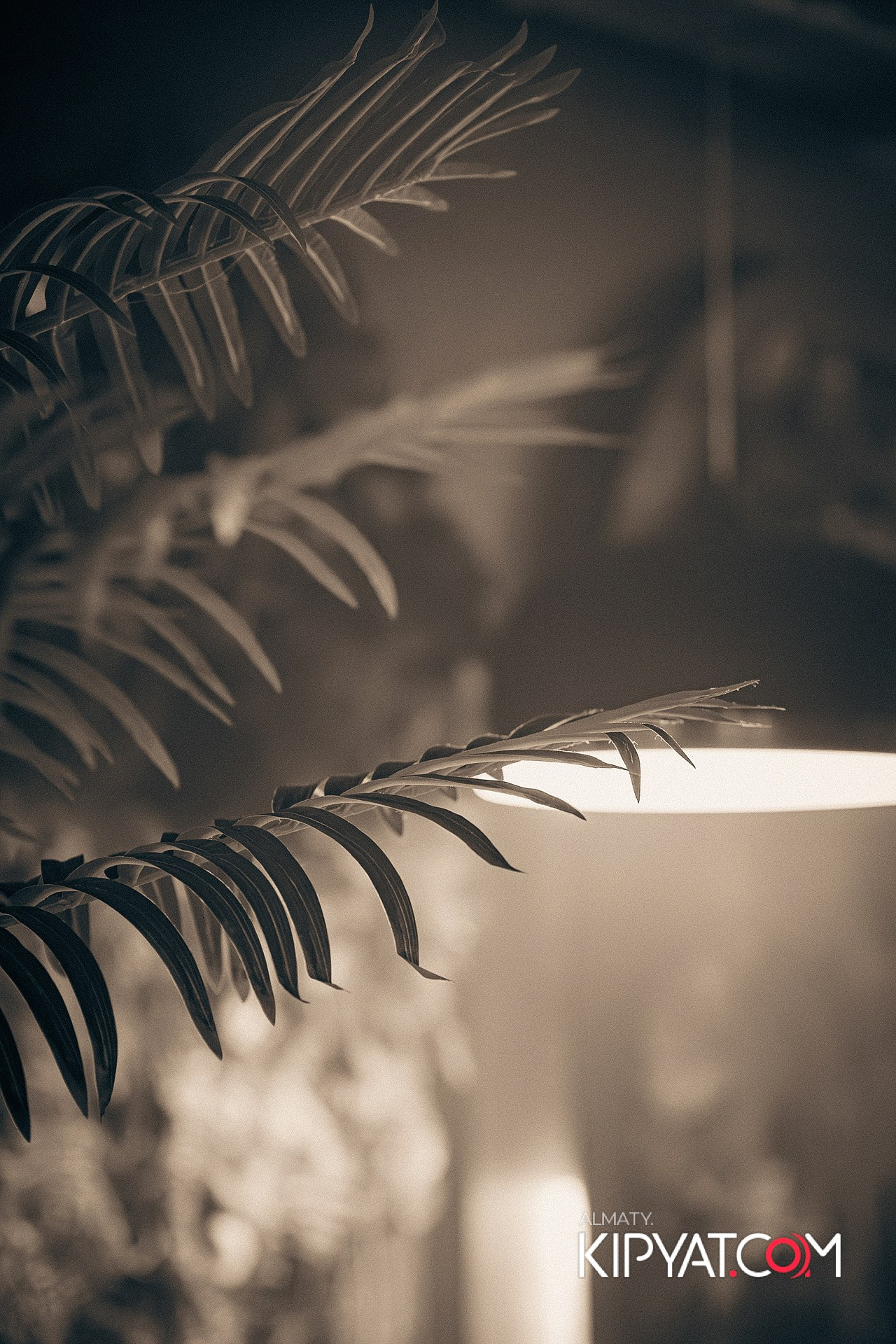 Vice City. КИПЯТКОМ АЛМАТЫ!