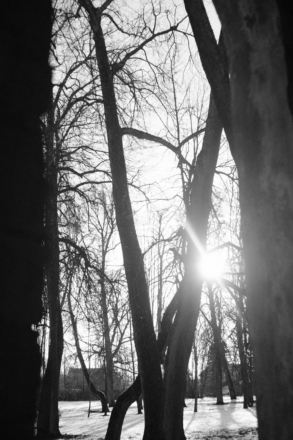 Саша. Портретный фотограф в Санкт-Петербурге