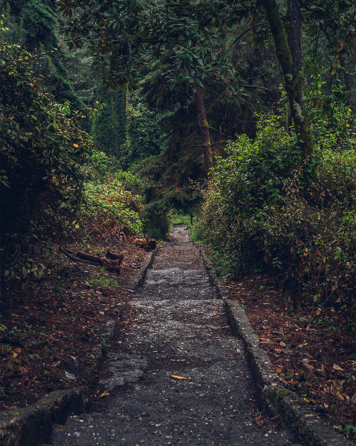 Абхазия в объективе: путешествие рекламного фотографа из Гуанчжоу. Коммерческий и предметный фотограф в Гуанчжоу Коваленко Александр