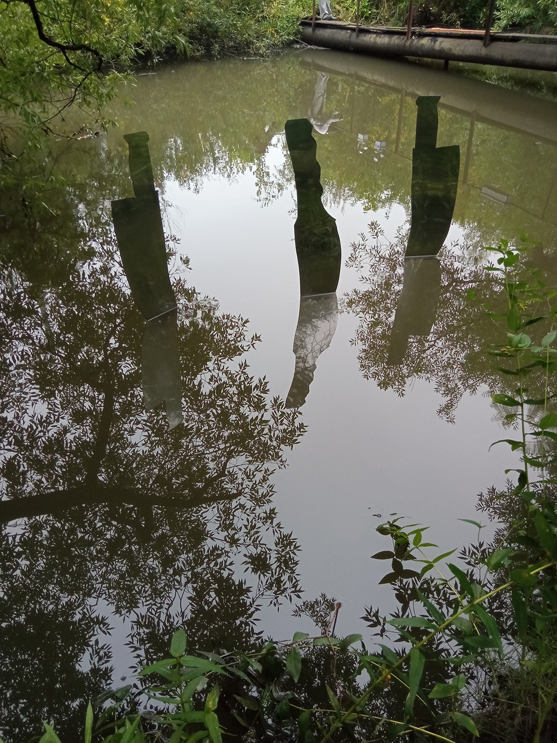 Красненькая биеннале 2025. Private image