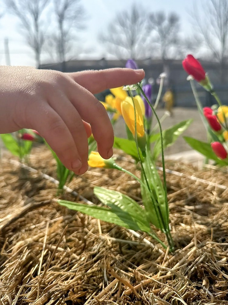 Территория. Семейный клуб «Свой Дом»