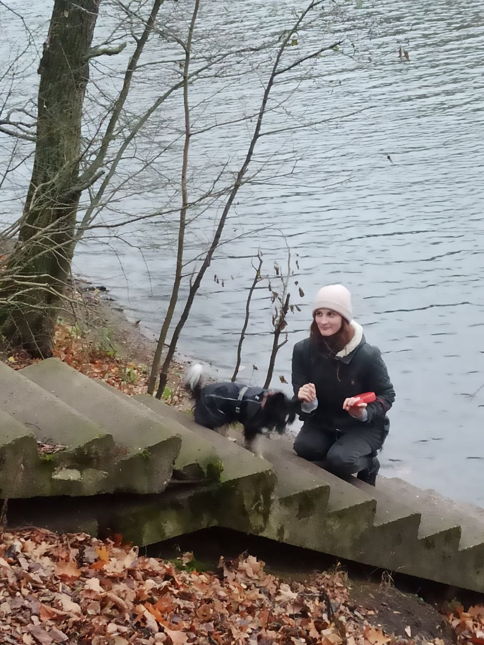 Рейко сынок Честера. Питомник китайских хохлатых собак Poale Ell: купить щенка в питомнике