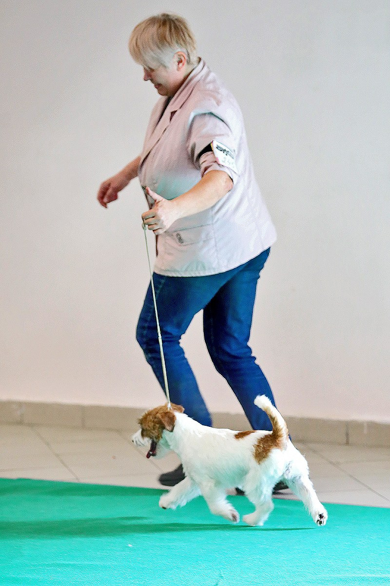 Port Fortis Nord Star