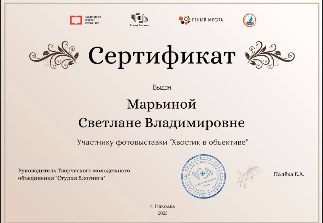 Мои дипломы и сертификаты. Семейный фотограф анималист г. Находка