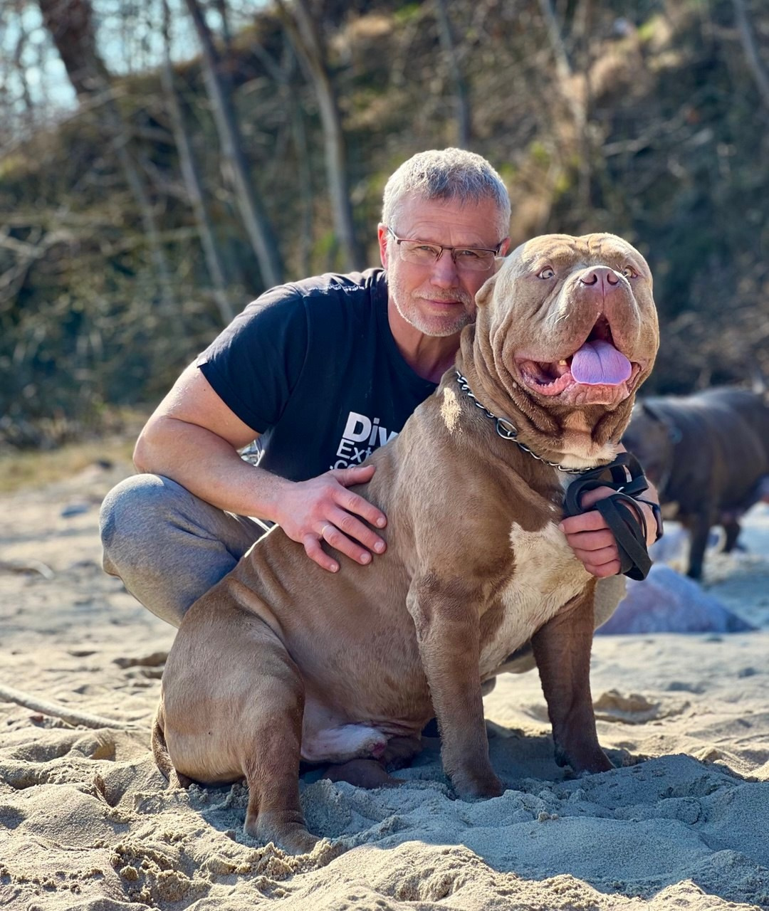 Наши собаки. Американские булли XL в г. Калининград. Питомник Great Bully UNIVERSE