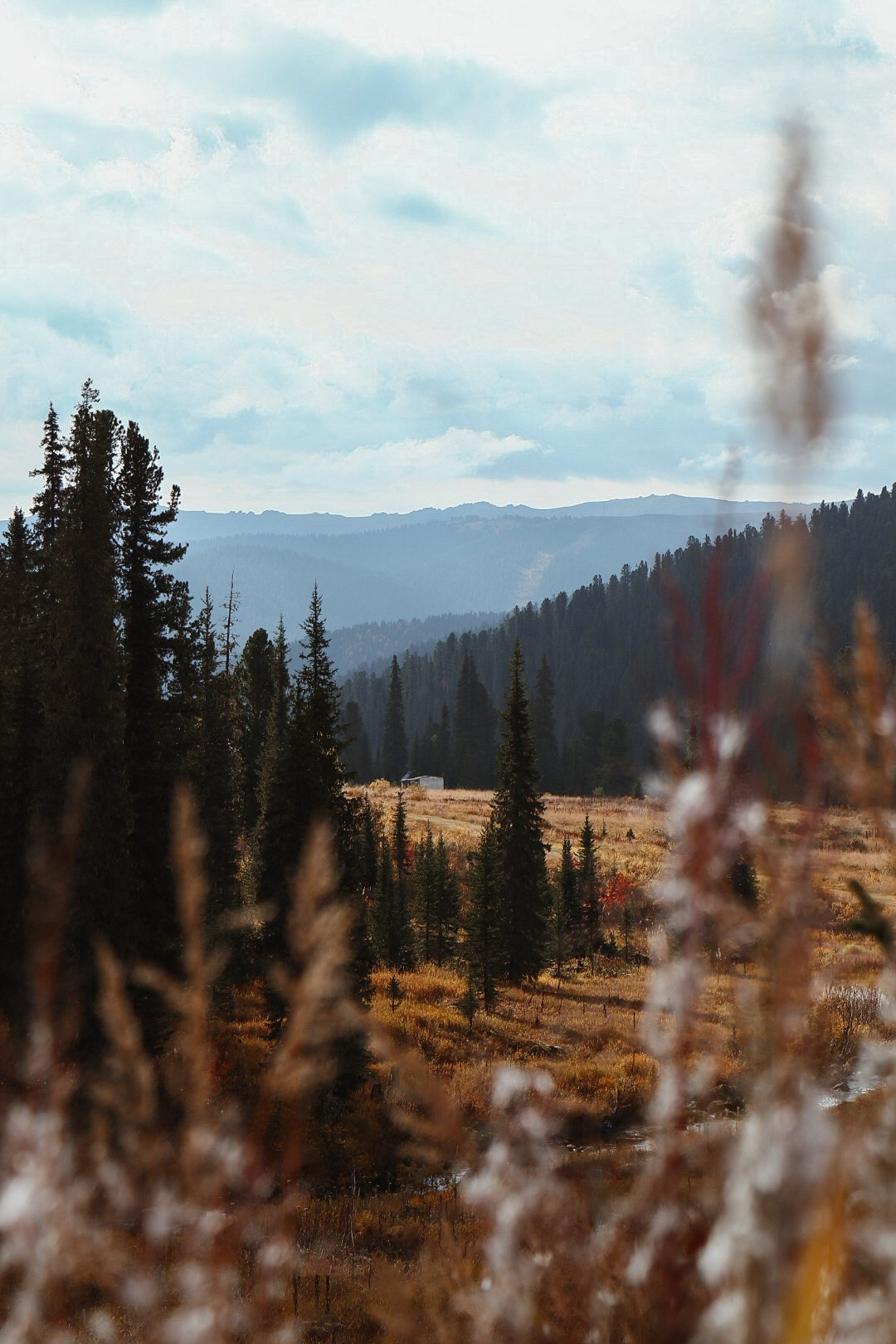 Репортаж. Фотограф и видеограф Анастасия Витюкова | Екатеринбург