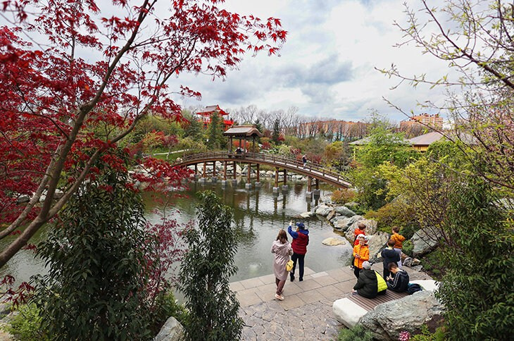 КРАСНОДАР. Свадебный и семейный фотограф/видеограф в Краснодаре Наталья Осинская