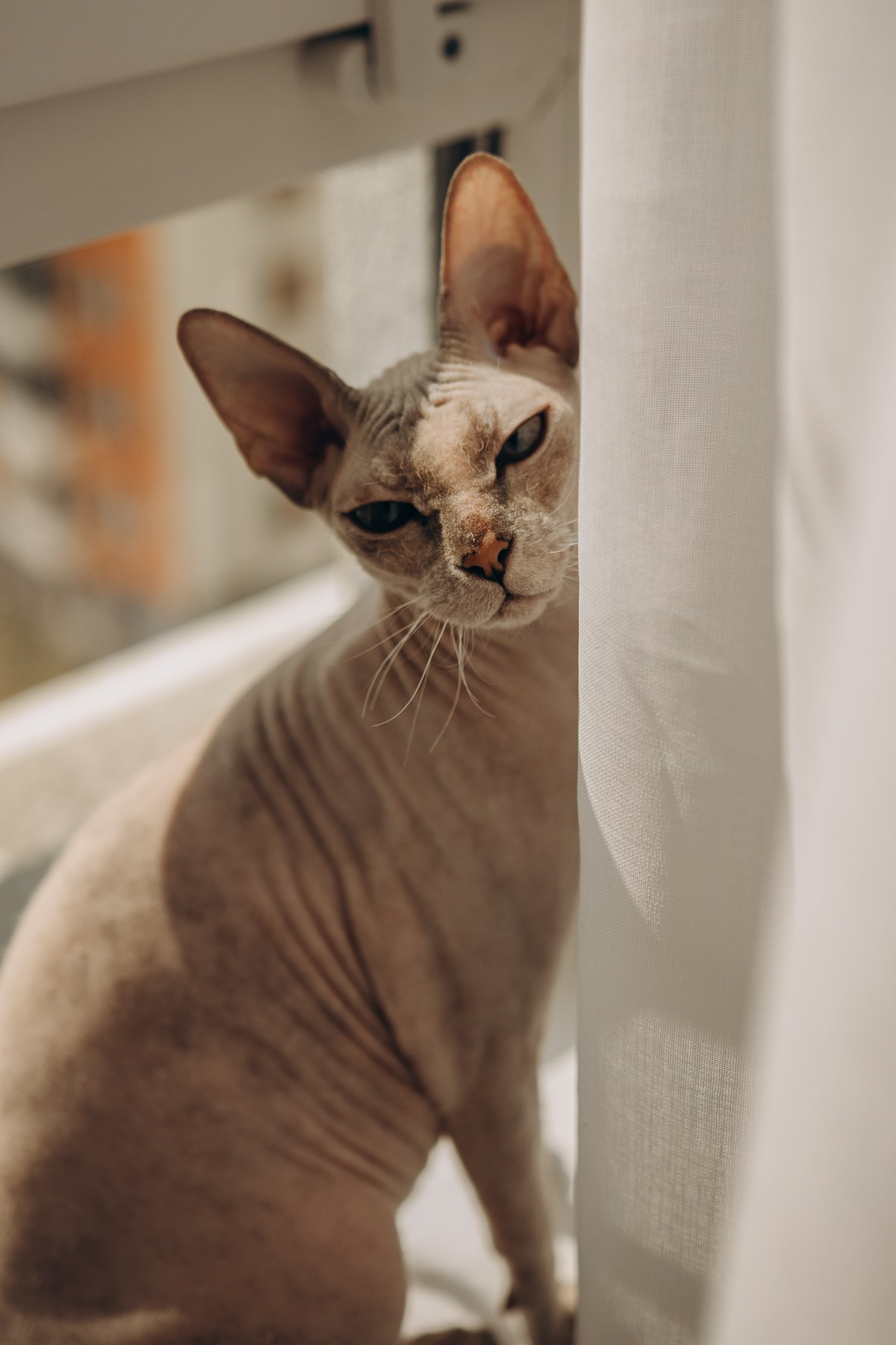 Денис, Света, София и Демид — теплые моменты дома. Семейный фотограф Новороссийск, Анапа, Геленджик — Юлия Давыдова