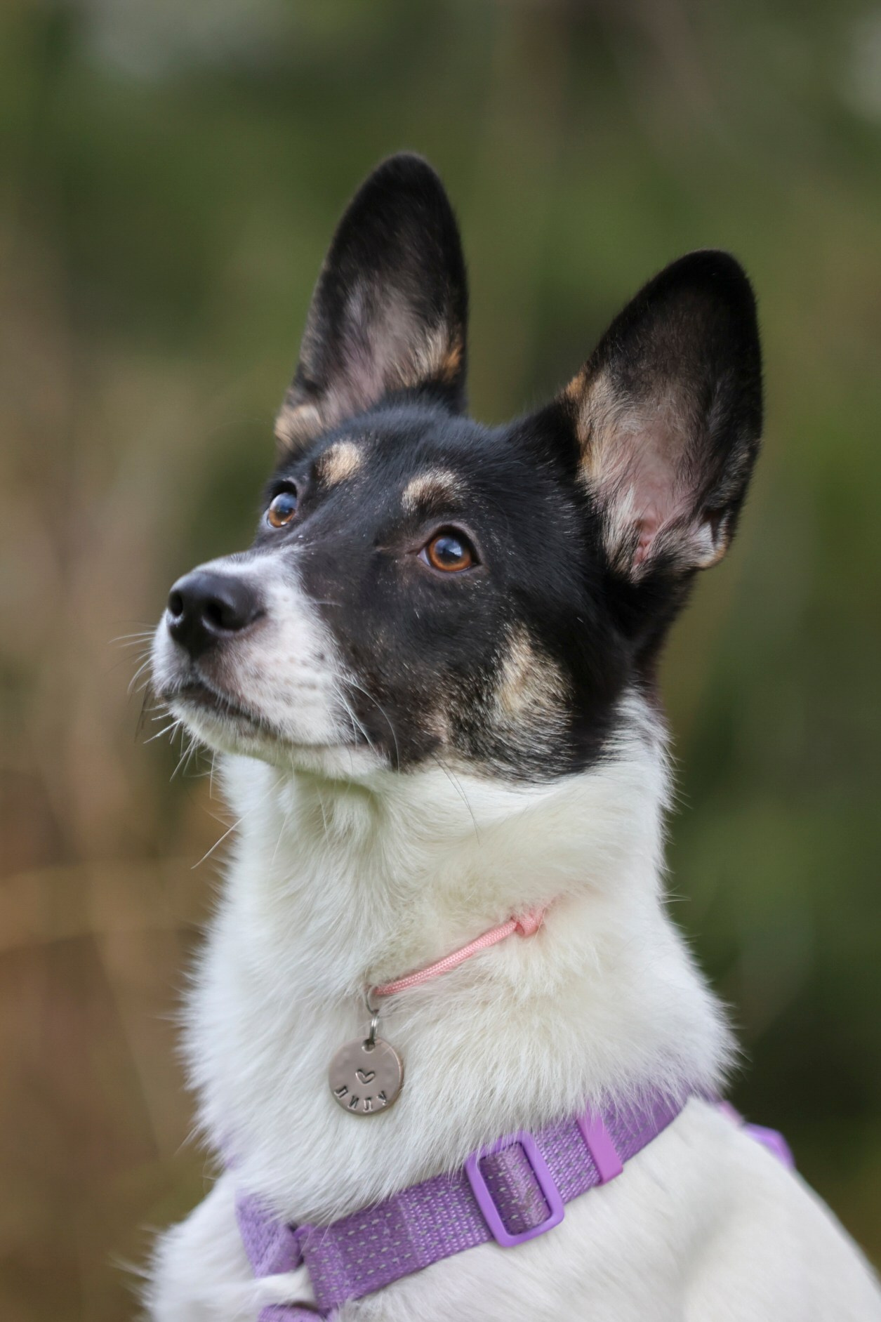 Прогулка Насти и Лилу!. Фотограф 📸 семейный, предметный, репортажный