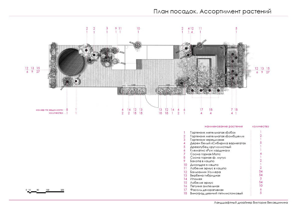 Проект озеленения. Ландшафтная архитектура, проектирование и дизайн садов