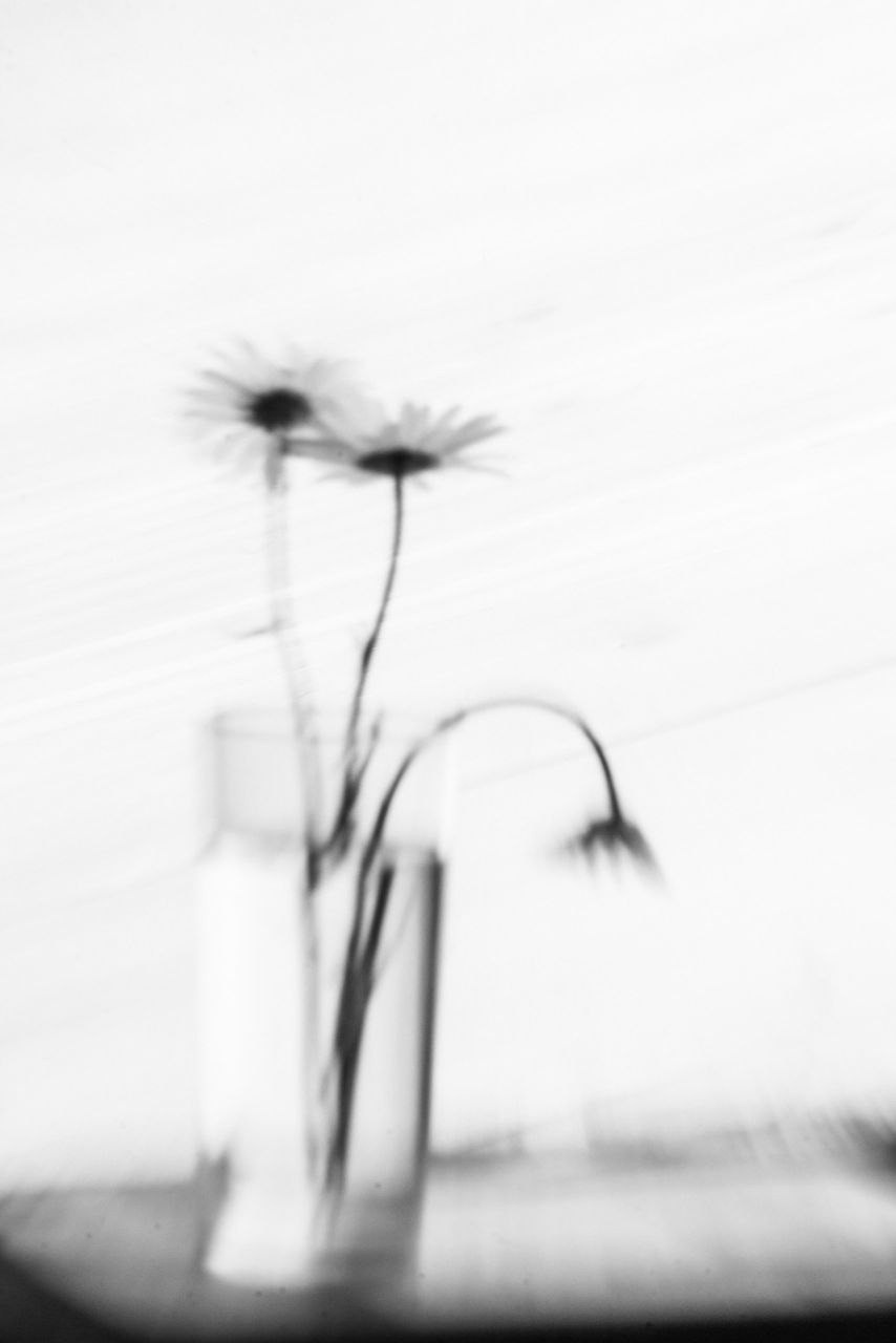 Обучение. Фотокоуч Катерина Каледина