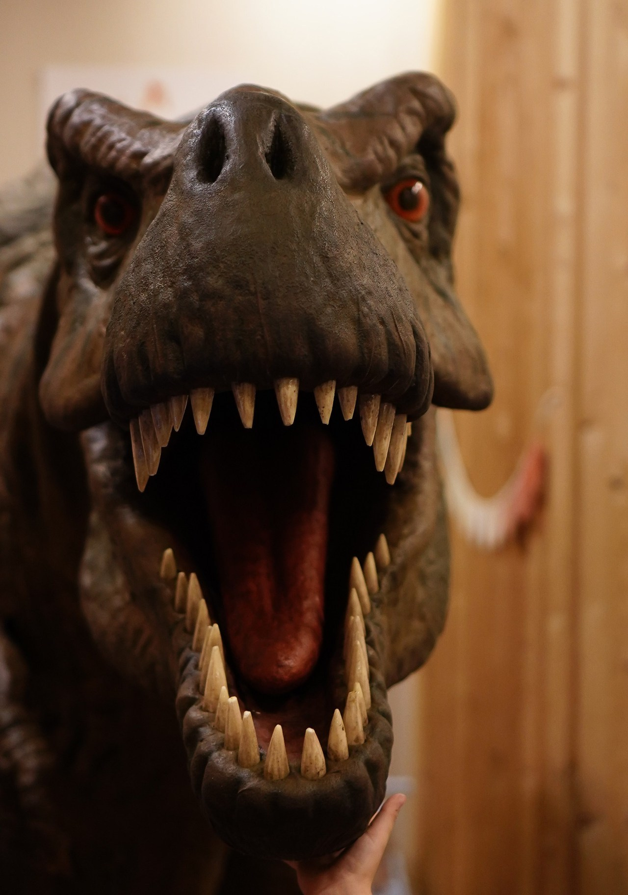 Отзывы. Семейный фотограф в Москве Коровушкина Наталья. Съемка контента